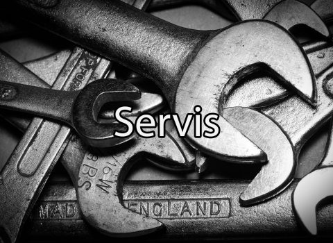 Servis